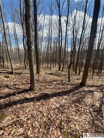 $69,000 | Flat Iron Road, Hunt, NY 14846