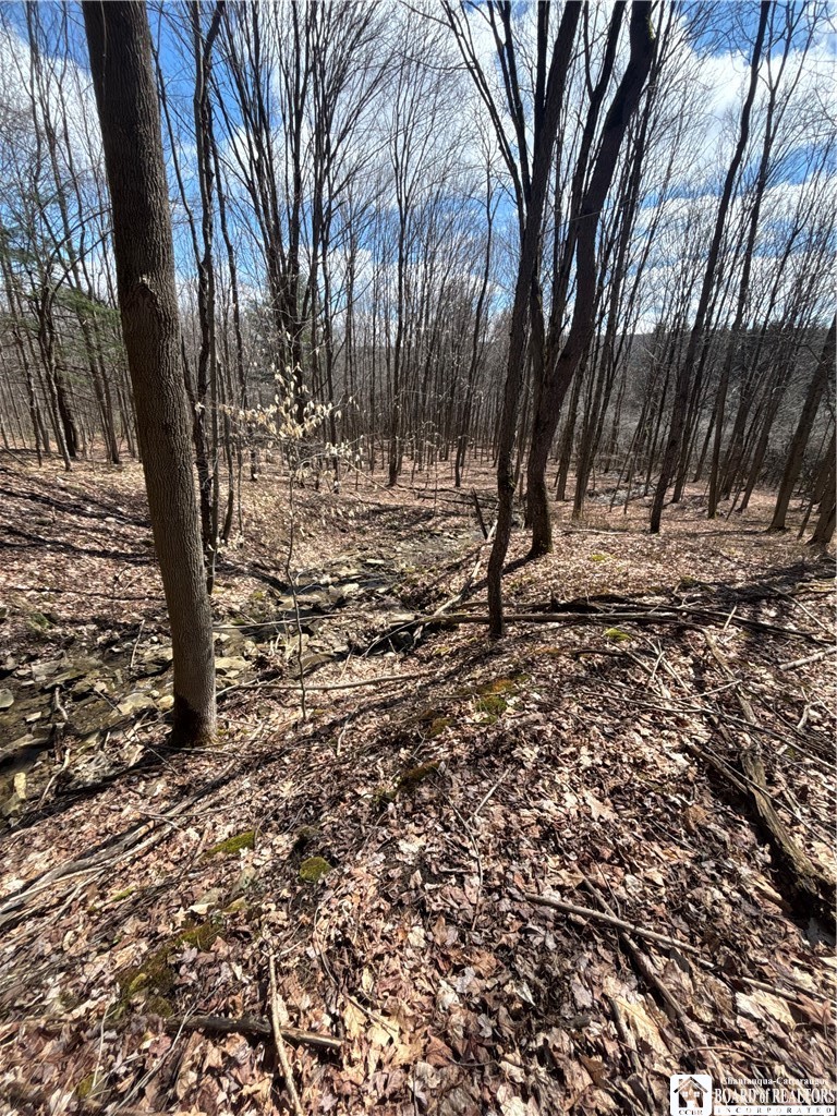 Flat Iron Road Hunt, NY 14846 - Photo 29 of 44