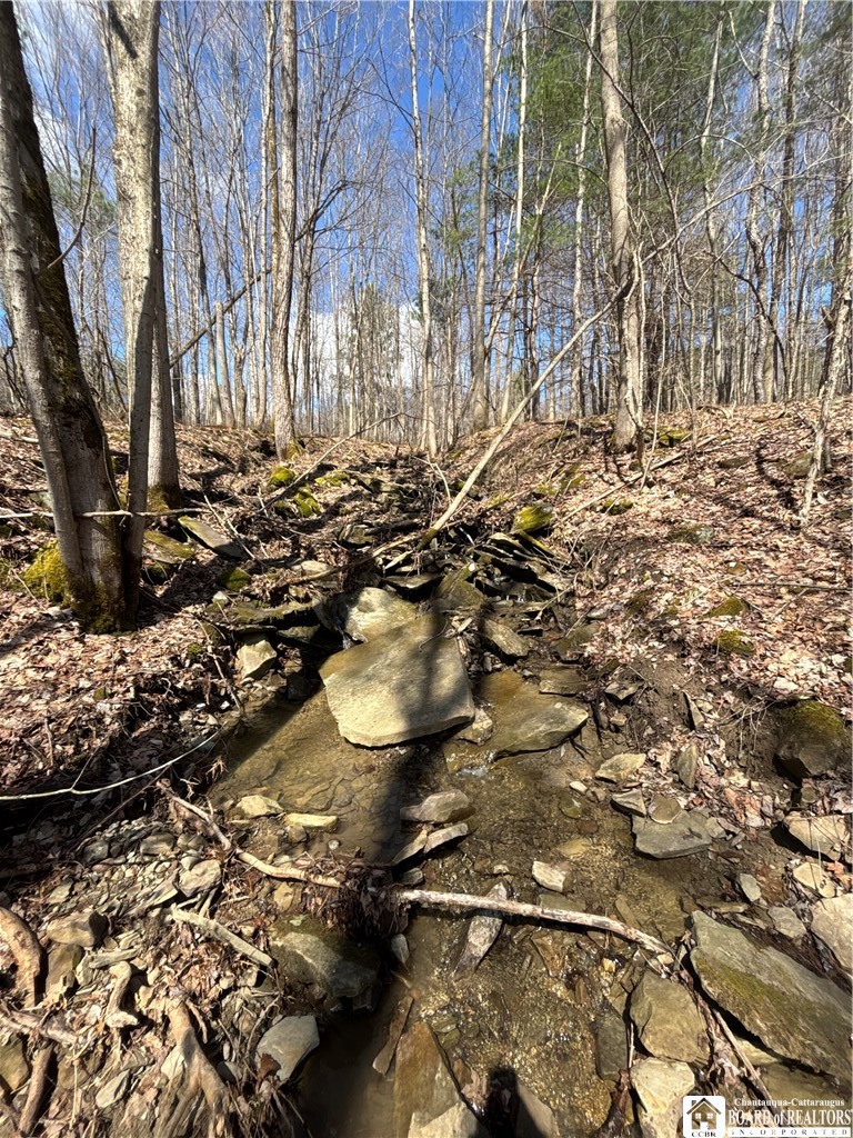 Flat Iron Road Hunt, NY 14846 - Photo 30 of 44