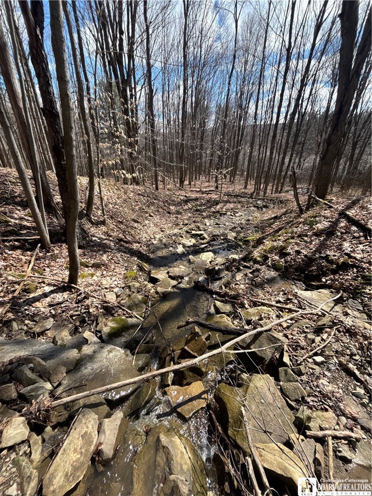 Flat Iron Road Hunt, NY 14846 - Photo 31 of 44