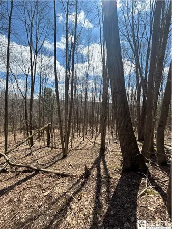$69,000 | Flat Iron Road, Hunt, NY 14846