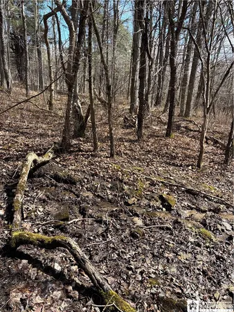 $69,000 | Flat Iron Road, Hunt, NY 14846