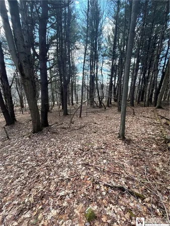 $69,000 | Flat Iron Road, Hunt, NY 14846
