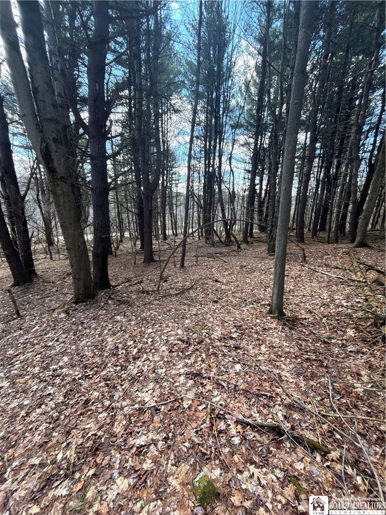 Flat Iron Road Hunt, NY 14846 - Photo 34 of 44