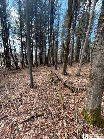 $69,000 | Flat Iron Road, Hunt, NY 14846