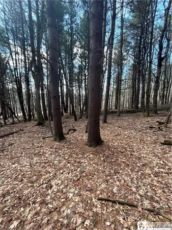 $69,000 | Flat Iron Road, Hunt, NY 14846