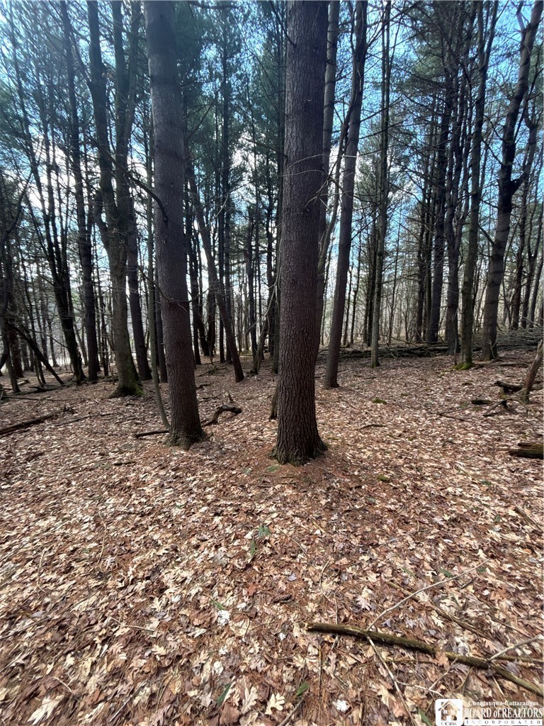 Flat Iron Road Hunt, NY 14846 - Photo 36 of 44