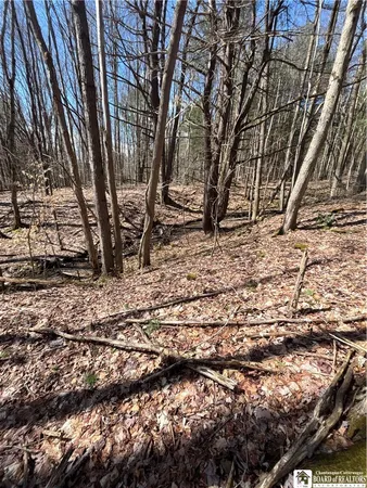 $69,000 | Flat Iron Road, Hunt, NY 14846