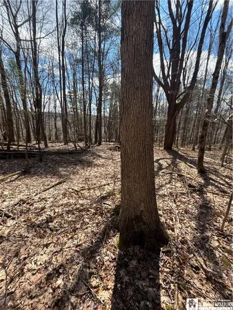 $69,000 | Flat Iron Road, Hunt, NY 14846