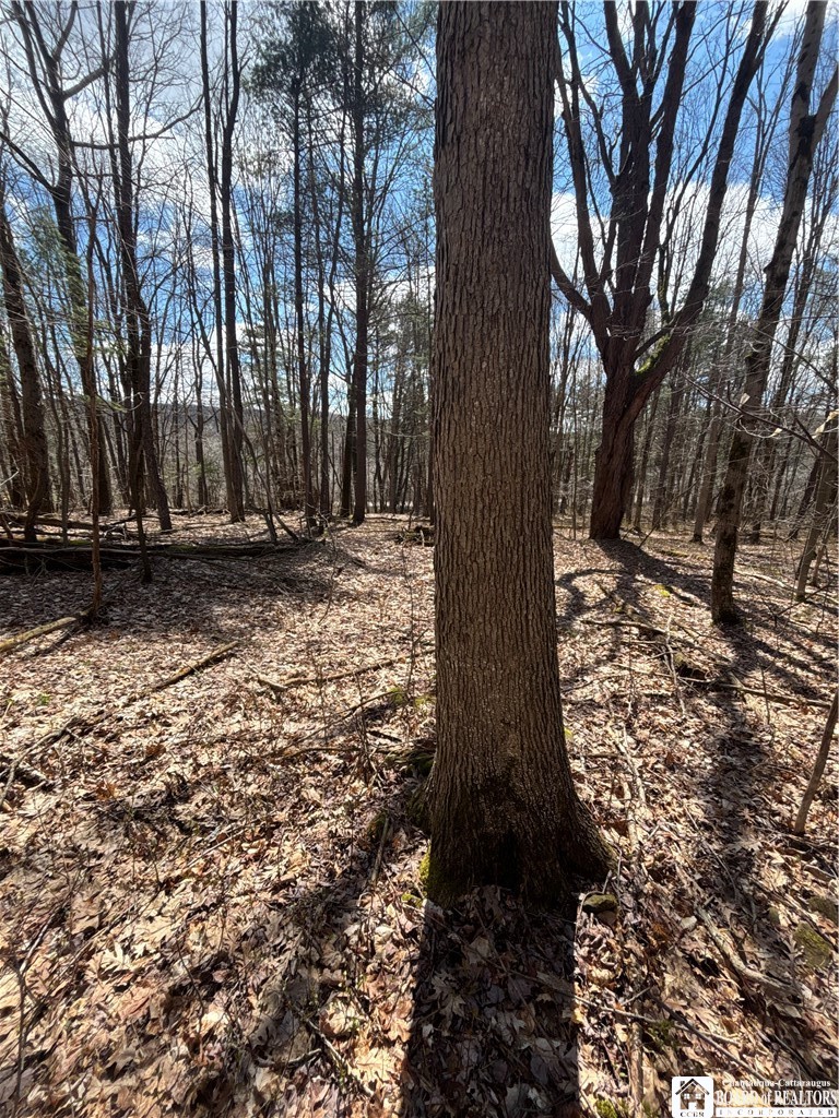 Flat Iron Road Hunt, NY 14846 - Photo 38 of 44