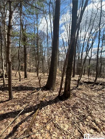 $69,000 | Flat Iron Road, Hunt, NY 14846