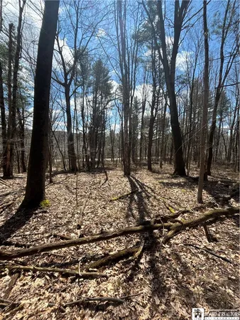 $69,000 | Flat Iron Road, Hunt, NY 14846