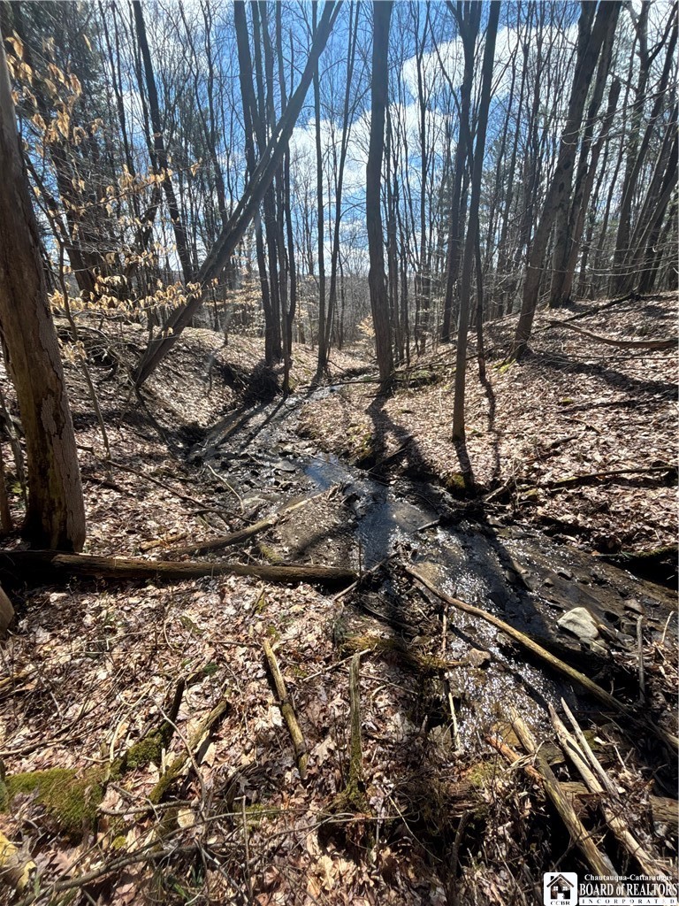 Flat Iron Road Hunt, NY 14846 - Photo 41 of 44