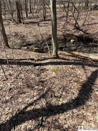 $69,000 | Flat Iron Road, Hunt, NY 14846