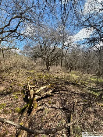 $69,000 | Flat Iron Road, Hunt, NY 14846