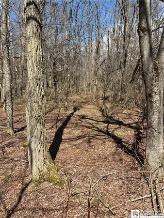 $69,000 | Flat Iron Road, Hunt, NY 14846