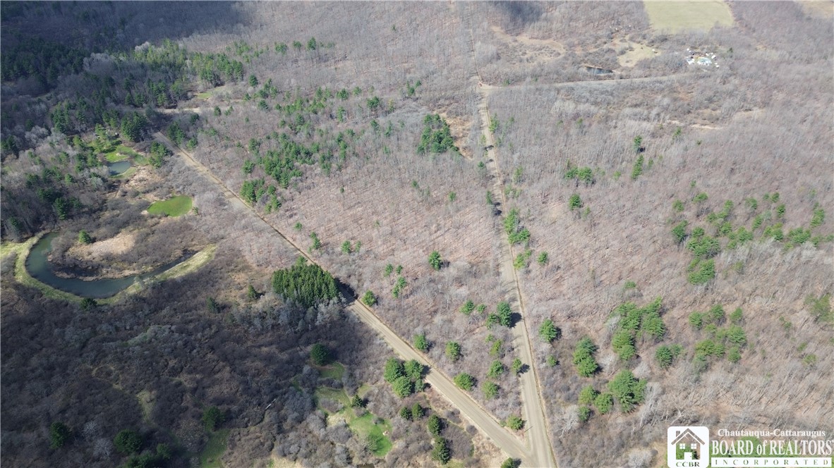 Flat Iron Road Hunt, NY 14846 - Photo 7 of 44