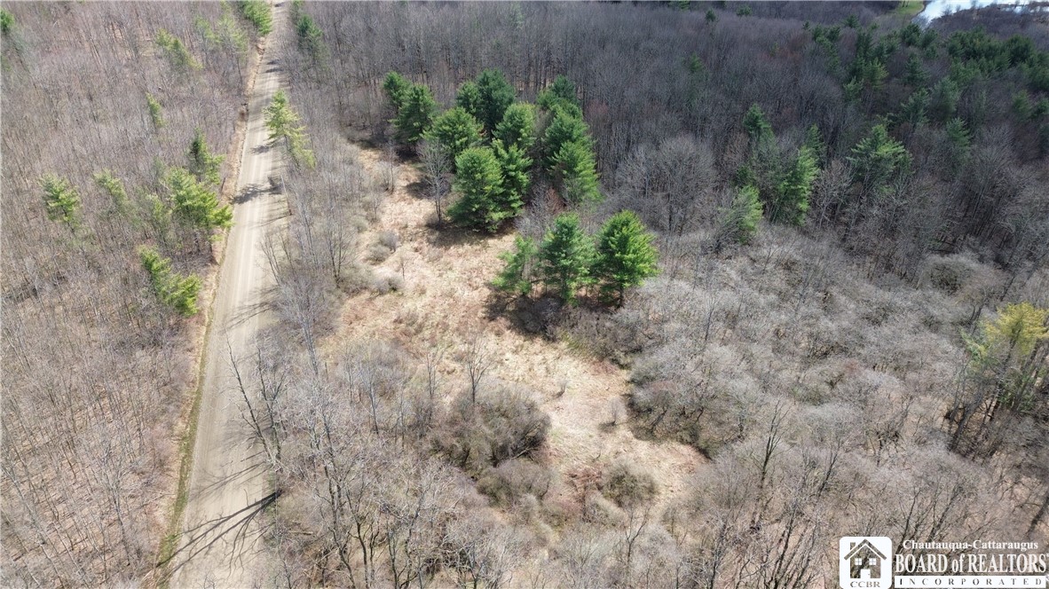 Flat Iron Road Hunt, NY 14846 - Photo 8 of 44