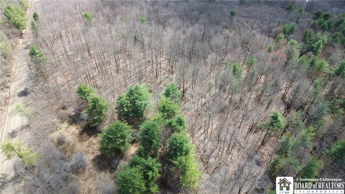 Flat Iron Road Hunt, NY 14846 - Photo 9 of 44