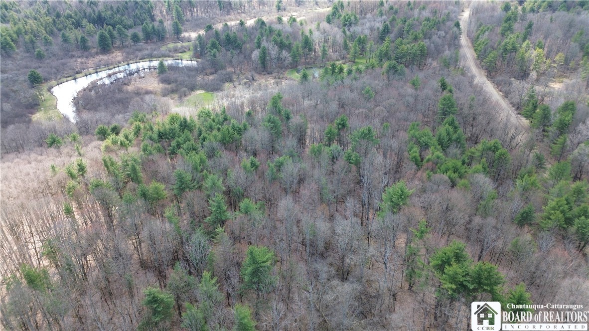 Flat Iron Road Hunt, NY 14846 - Photo 10 of 44