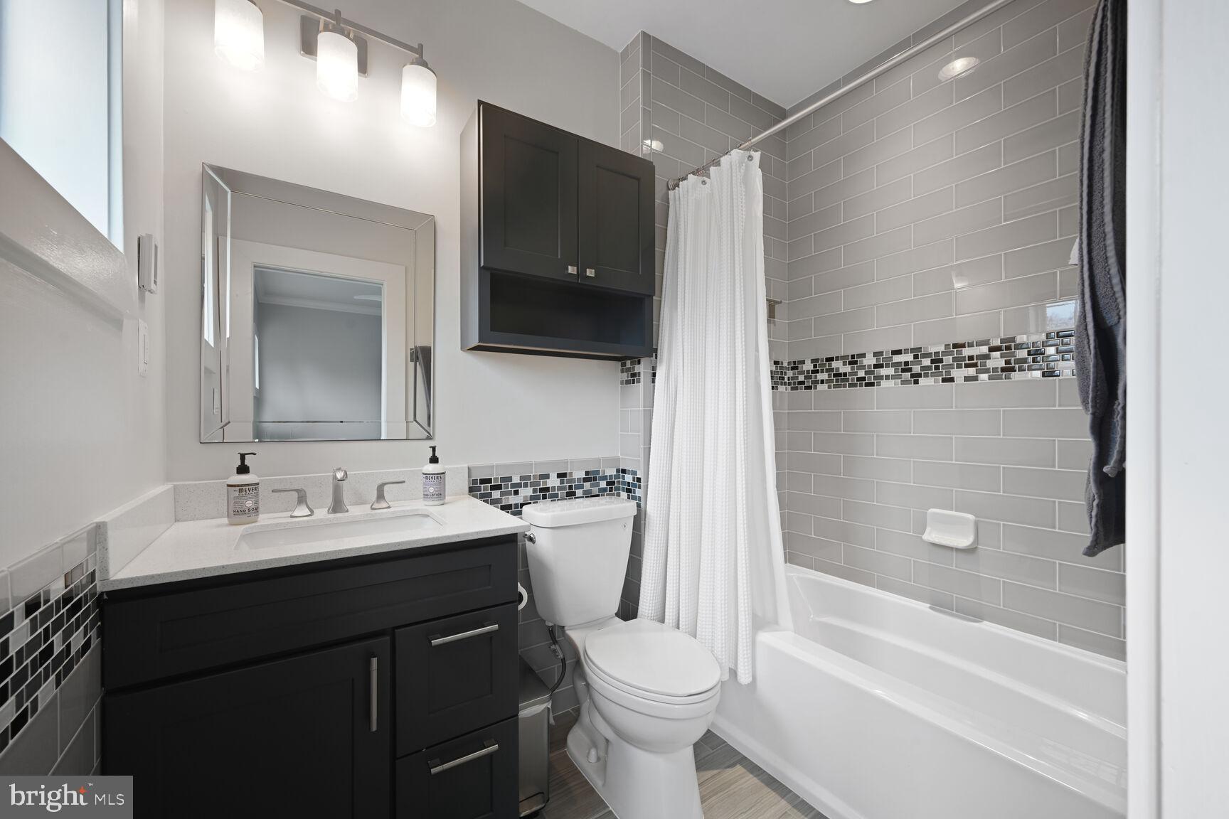 2107 Ellis Street Silver Spring, MD 20910 - Photo 46 of 63 a bathroom with a sink a toilet and shower