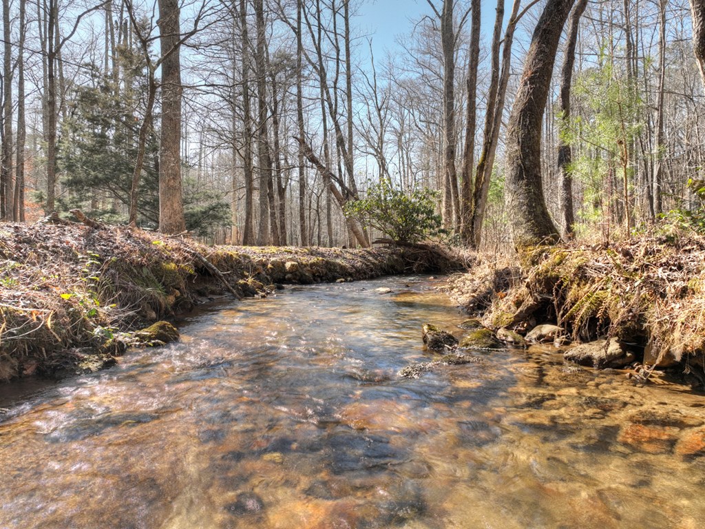 331 Rocky Hollow Road Ellijay, GA 30536 - Photo 28 of 38