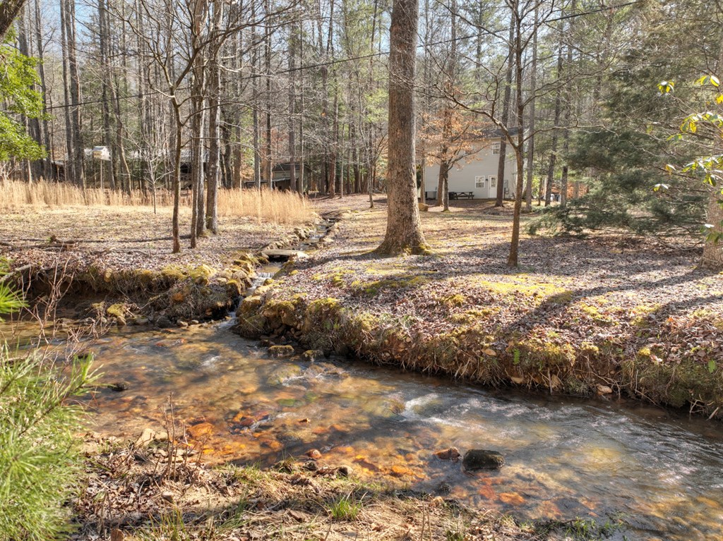 331 Rocky Hollow Road Ellijay, GA 30536 - Photo 5 of 38