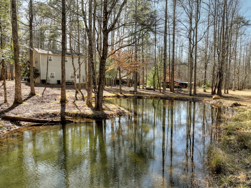 331 Rocky Hollow Road Ellijay, GA 30536 - Photo 7 of 38