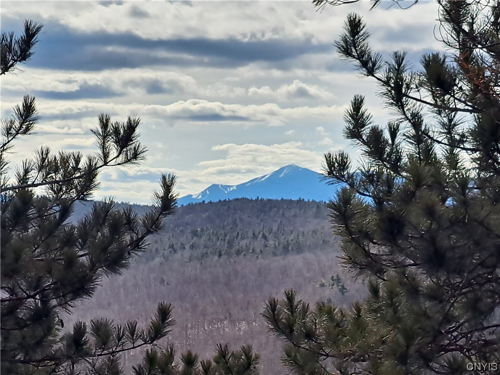 Whiteface Mt. from Stewart Mt.