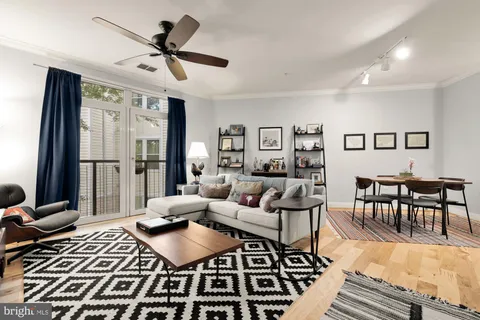 a living room with furniture rug and window