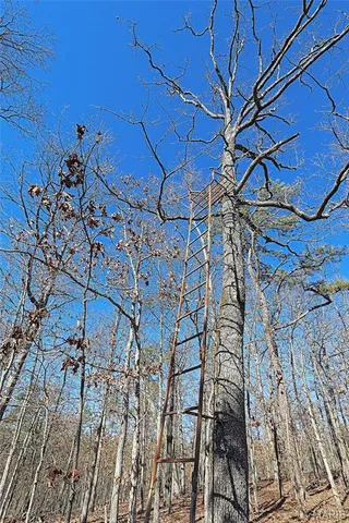 $300,000 | 37801 State Highway, Patton, MO 63662