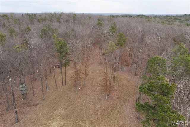 $300,000 | 37801 State Highway, Patton, MO 63662