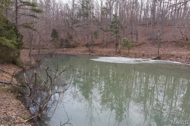 $300,000 | 37801 State Highway, Patton, MO 63662