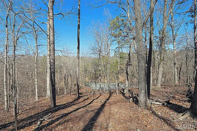 $300,000 | 37801 State Highway, Patton, MO 63662