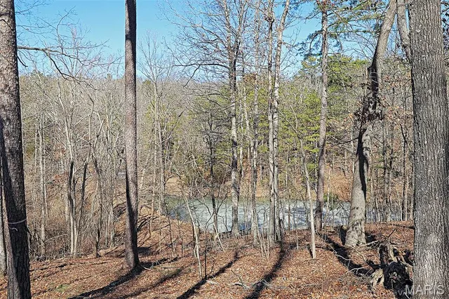 $300,000 | 37801 State Highway, Patton, MO 63662