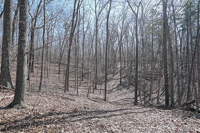 $300,000 | 37801 State Highway, Patton, MO 63662