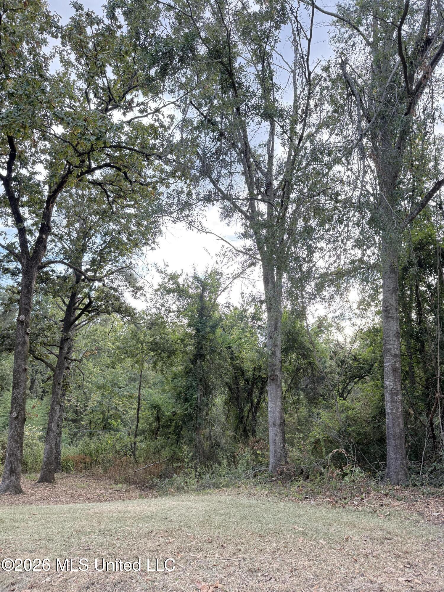 816 Summit Street Winona, MS 38967 - Photo 20 of 67 IMG_7046