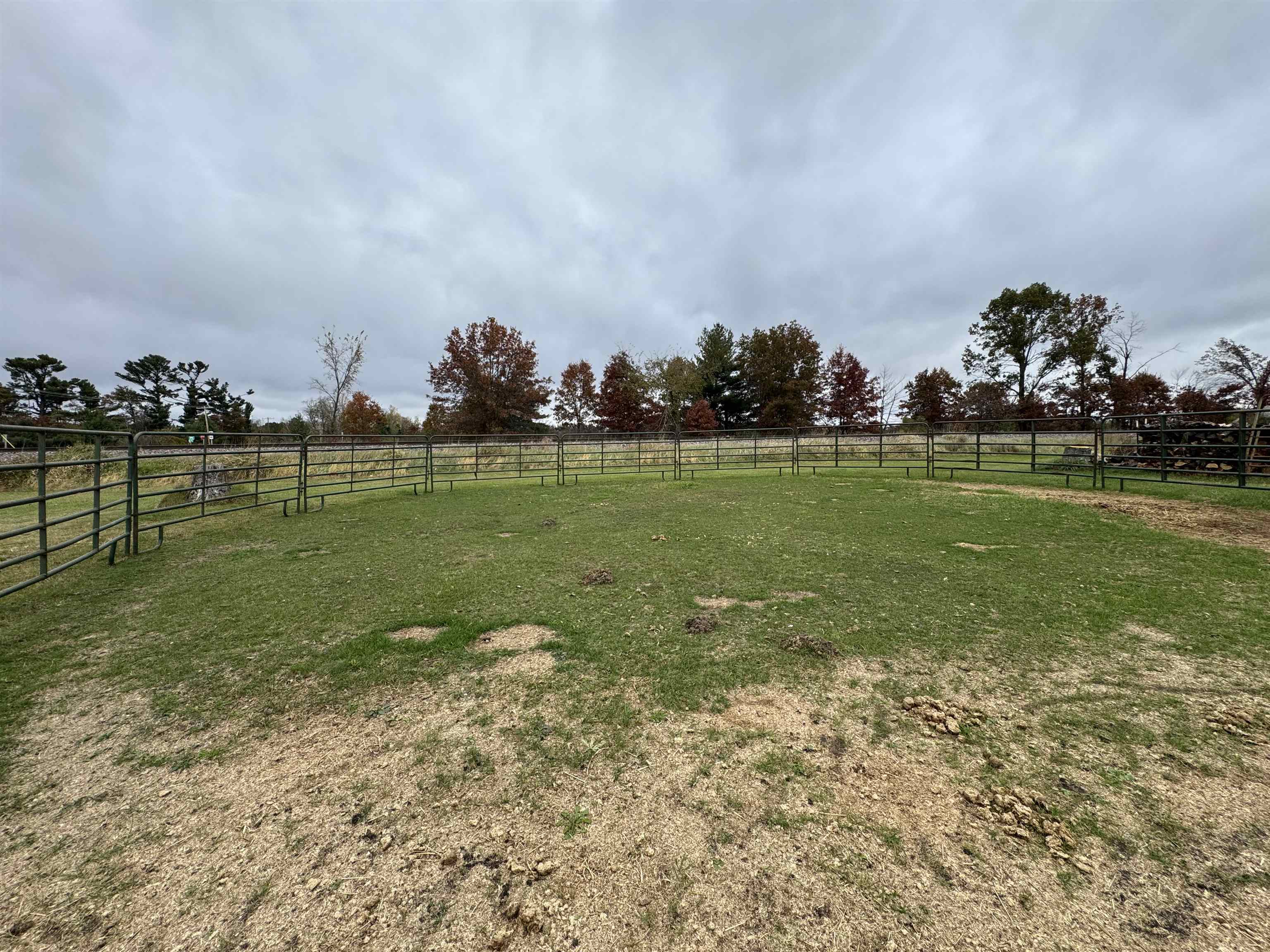 10086 County Road Warrens, WI 54666 - Photo 7 of 20