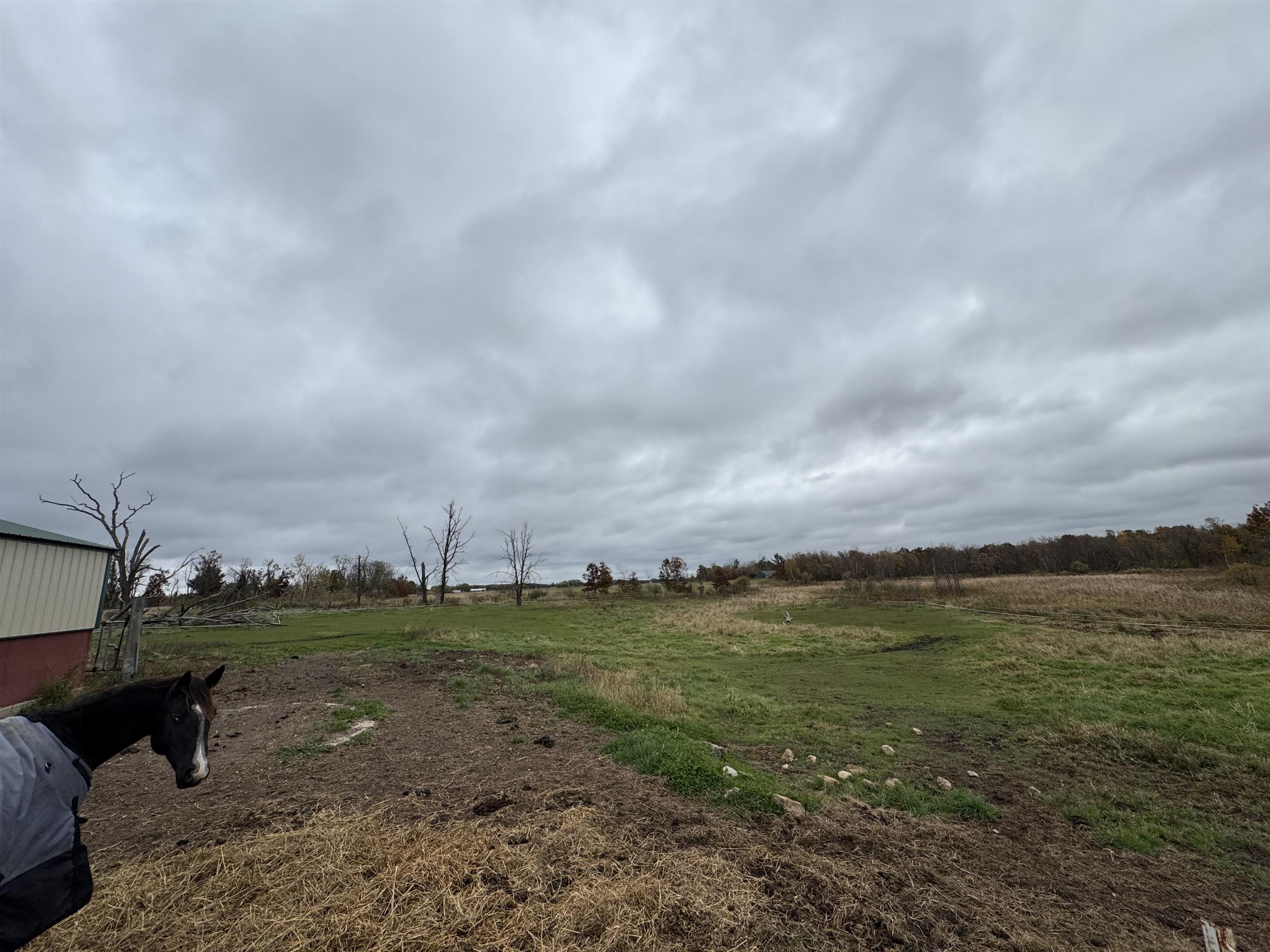 10086 County Road Warrens, WI 54666 - Photo 8 of 20