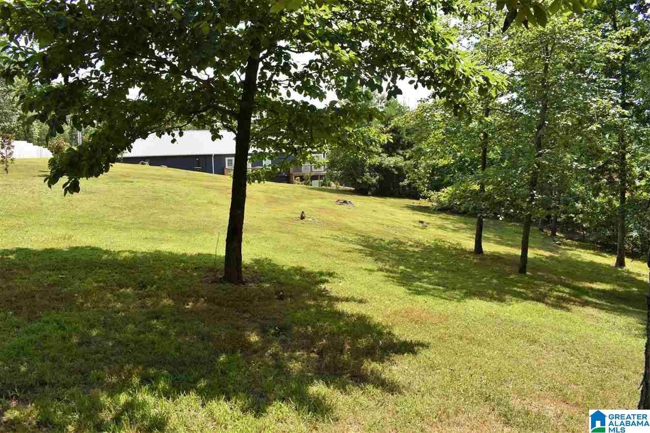 496 Valley View Lane Remlap, AL 35133 - Photo 31 of 41