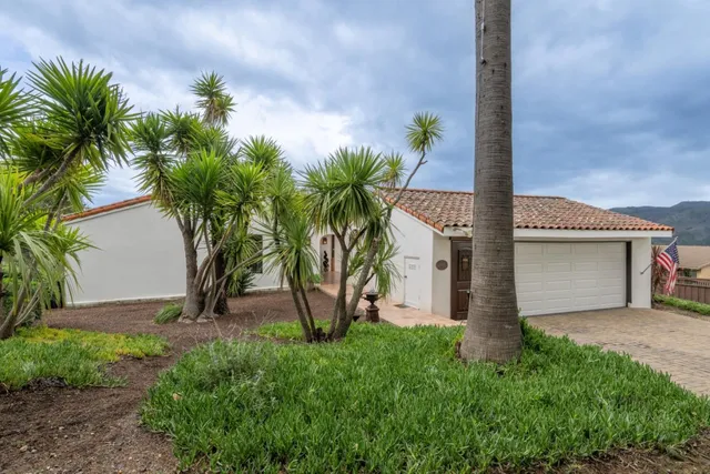 a view of a yard with a plants