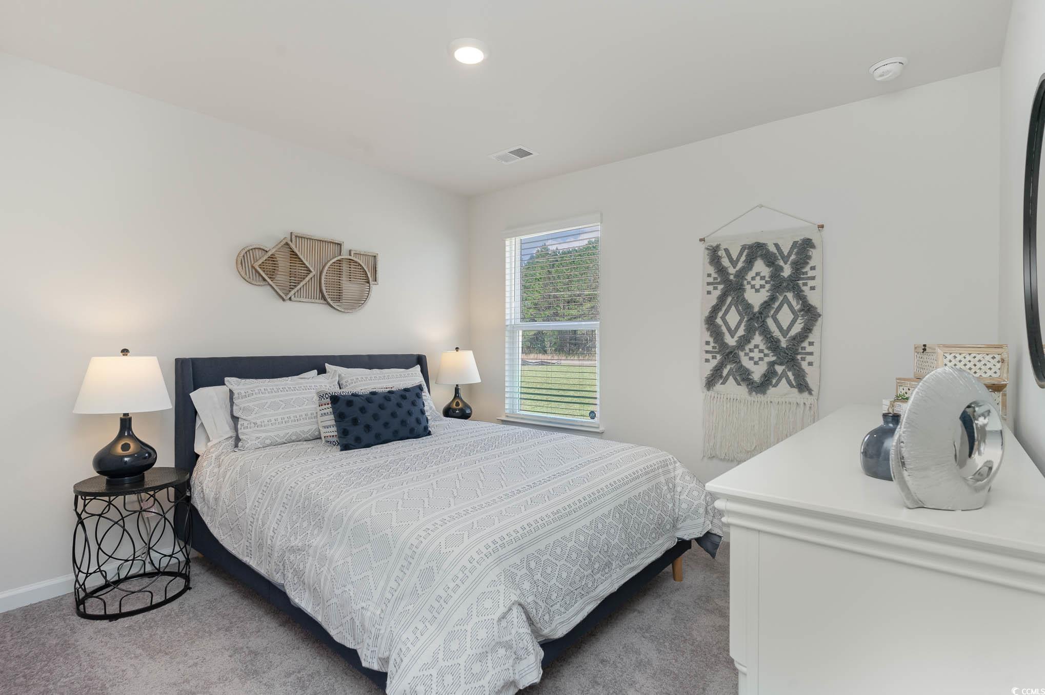 198 Dagger Court Myrtle Beach, SC 29588 - Photo 16 of 21