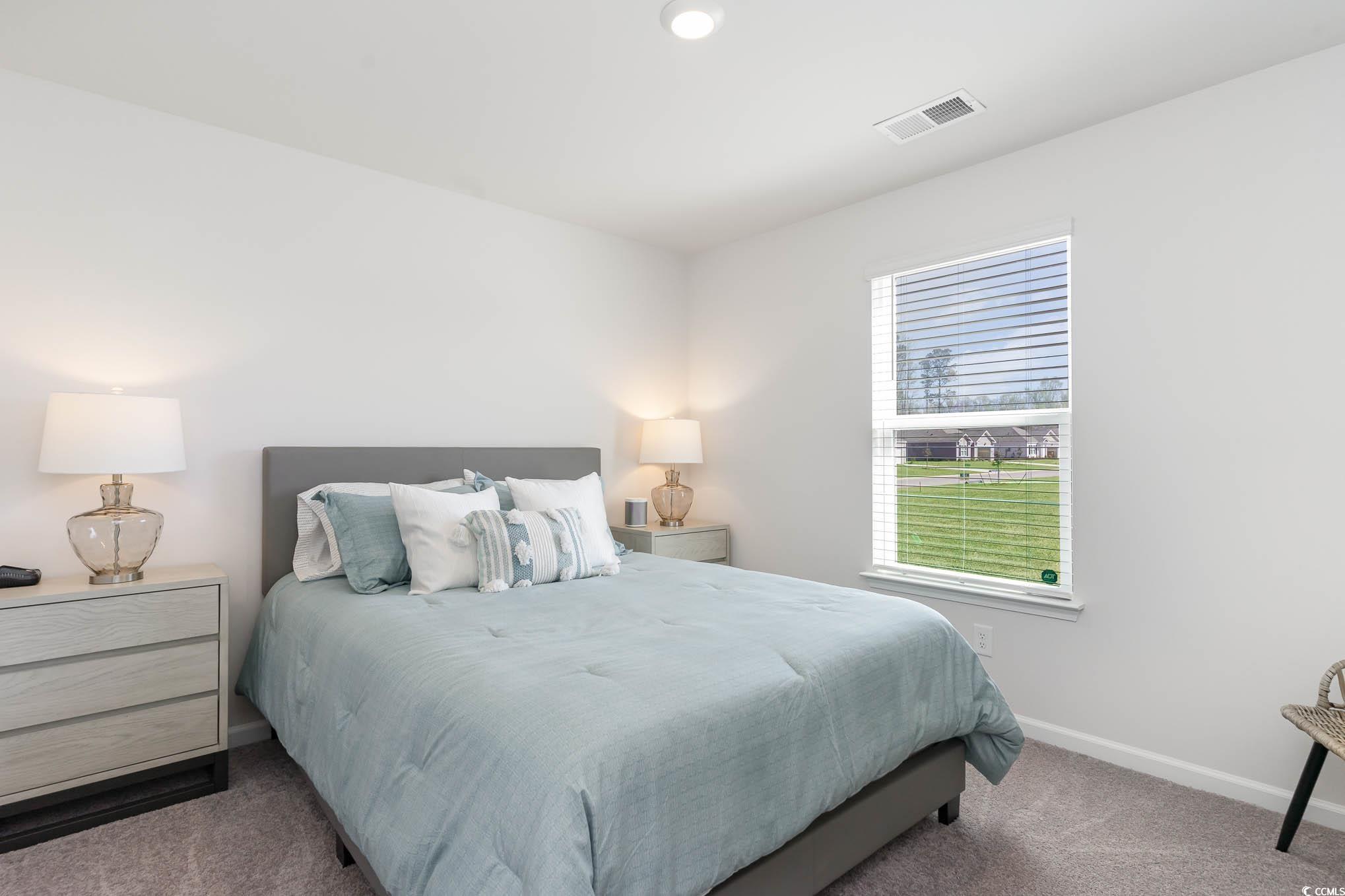 198 Dagger Court Myrtle Beach, SC 29588 - Photo 20 of 21