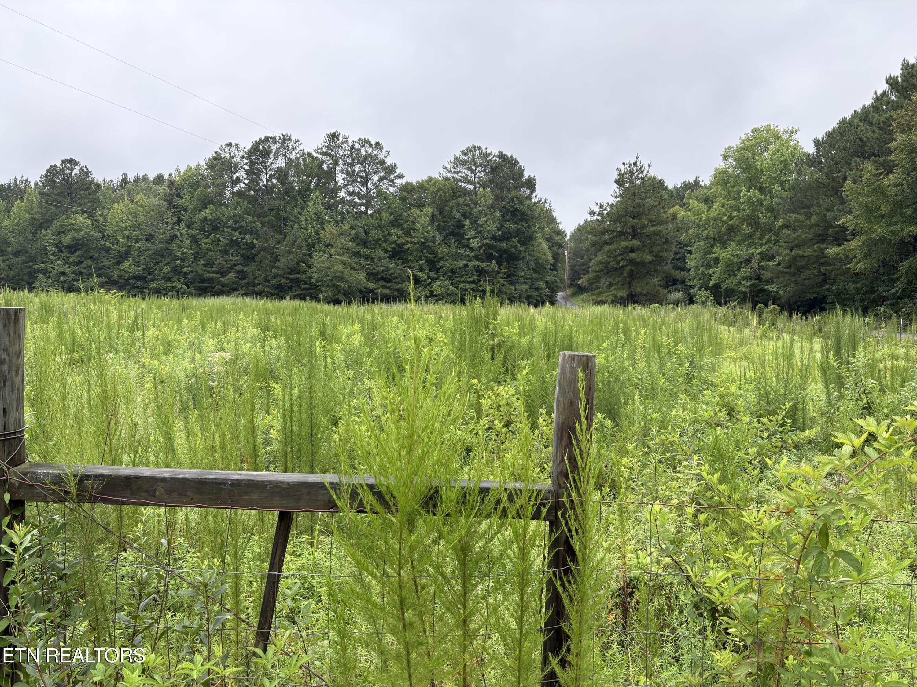 42 County Road Calhoun, TN 37309 - Photo 5 of 8 IMG_0086