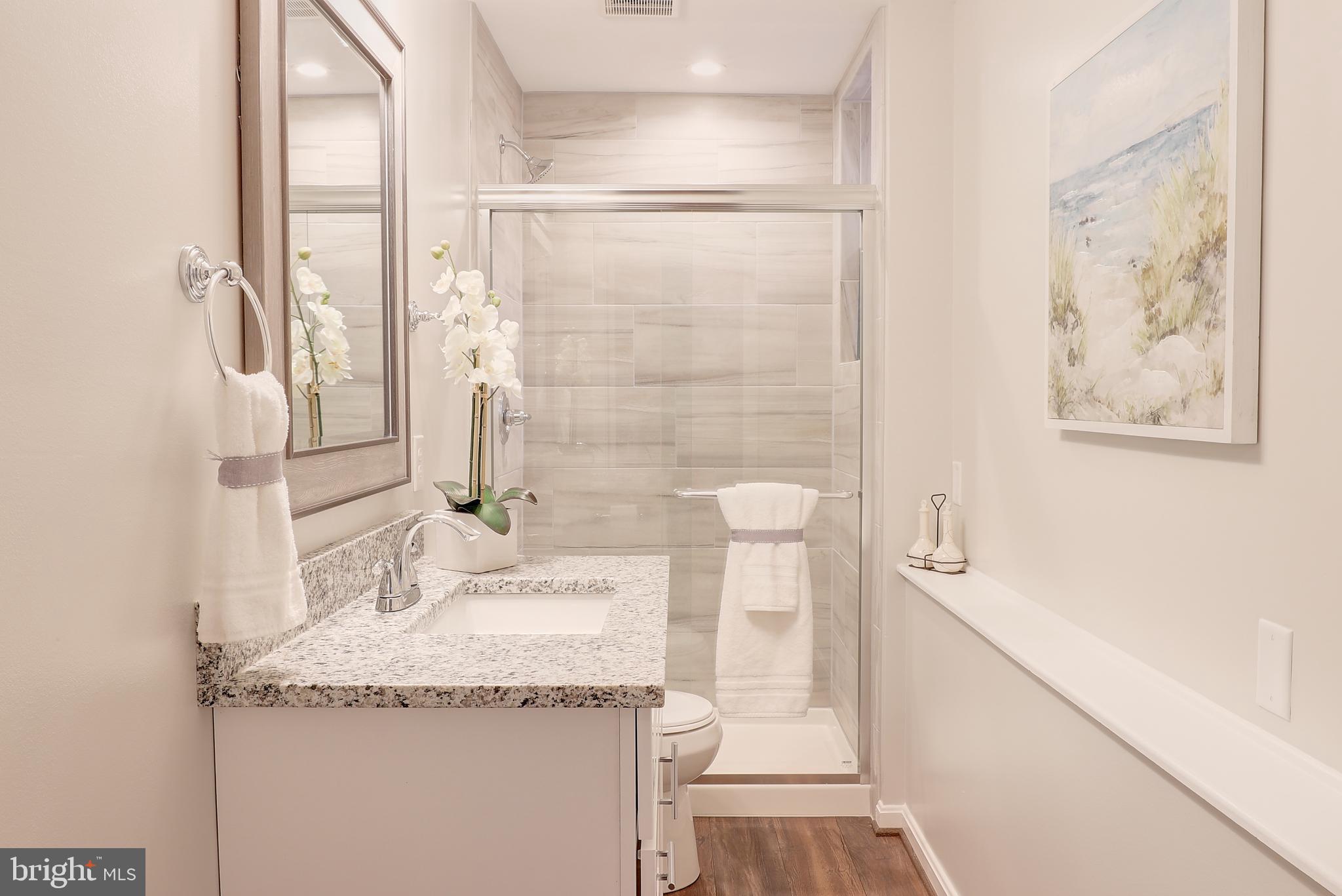 695 Hillmeade Road Edgewater, MD 21037 - Photo 27 of 28 a bathroom with a granite countertop sink a toilet and shower