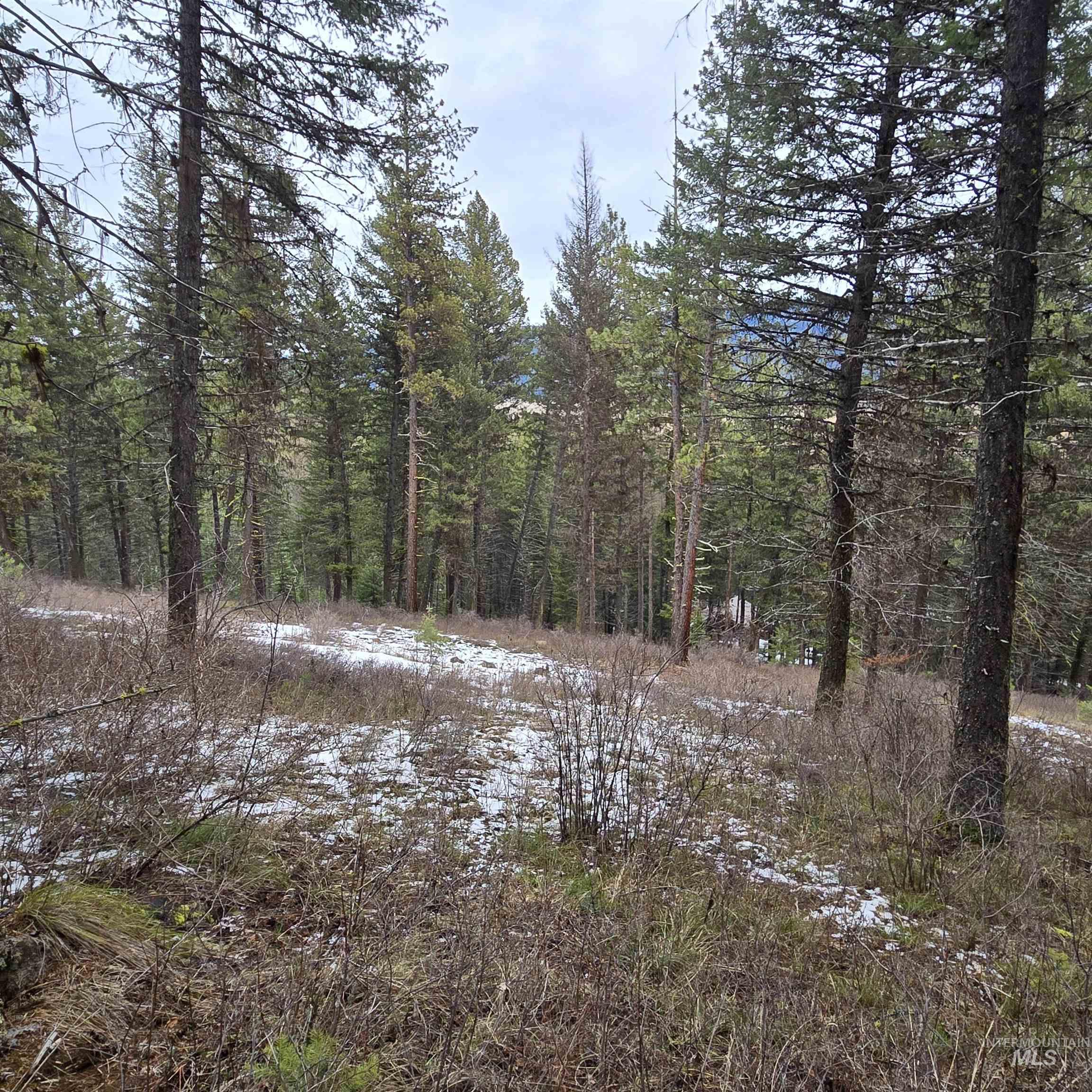 Tbd Granite View Road New Meadows, ID 83654 - Photo 5 of 9 Gallery Image 5