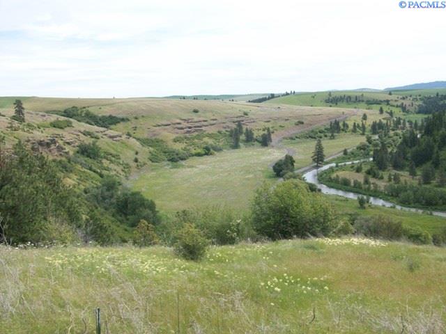 Lot 18 Red Tail Ridge, Unit 18 Colfax, WA 99111 - Photo 1 of 1 Gallery Image 1