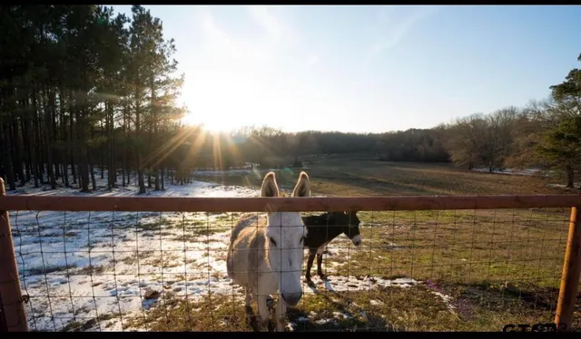 $450,000 | 900 Primrose Road, Gilmer, TX 75644