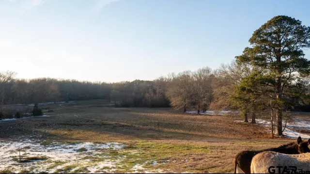 $450,000 | 900 Primrose Road, Gilmer, TX 75644