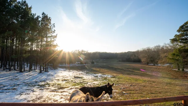 $450,000 | 900 Primrose Road, Gilmer, TX 75644